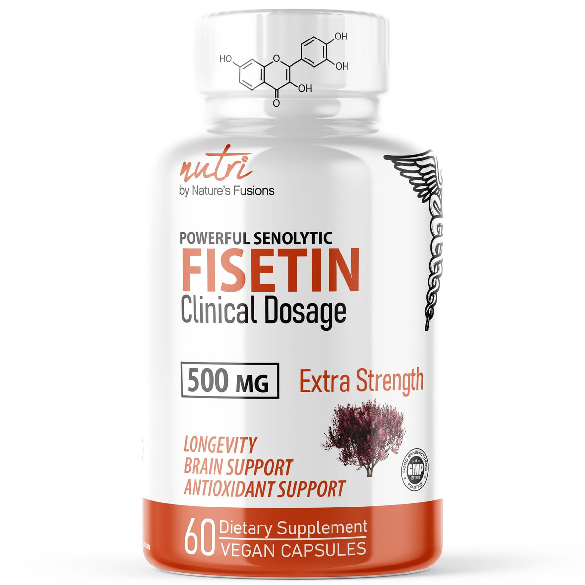 Nutri SenoFi – Fisetin 500mg – Powerful Senolytic Activator, Antioxidant, & Brain Support